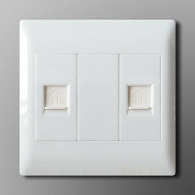 2 way with Network orTelephone plug socket