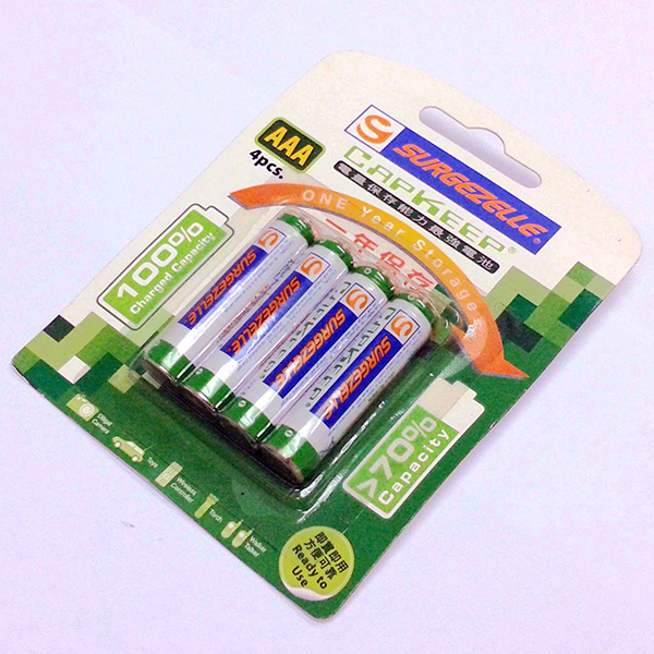 CapKeep Battery (Low Self Discharge NiMH Battery)