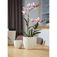 Orchid Ceramic Pot