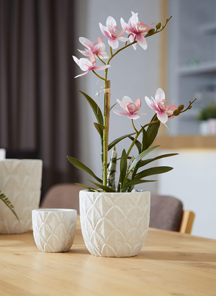 Orchid Ceramic Pot
