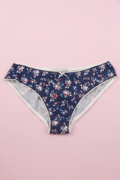 Brief