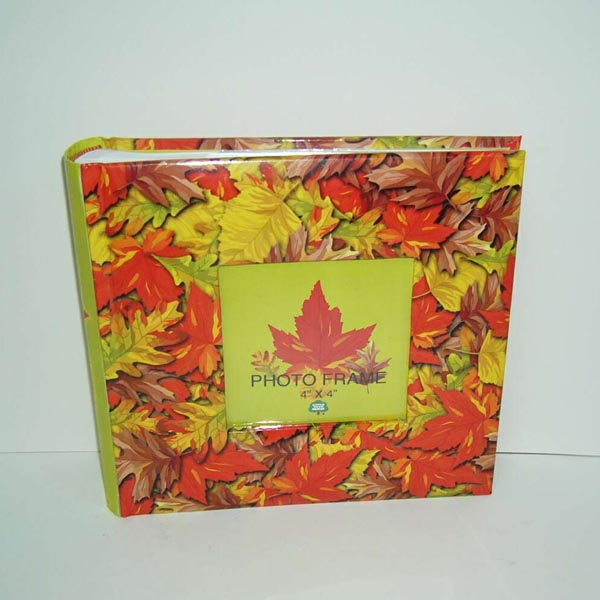 200cup photo book bound album