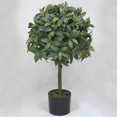 30 inches Bayleaf Single Topiary on Plastic trunk in pot # Green