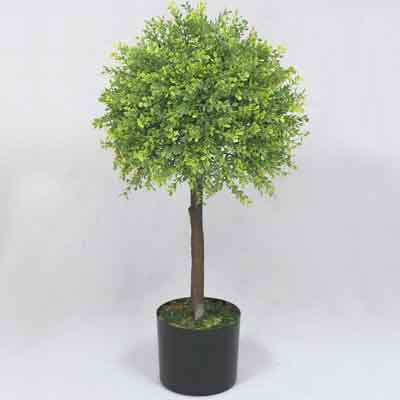 28 inches Boxwood Single Topiary on plastic trunk in pot # Green