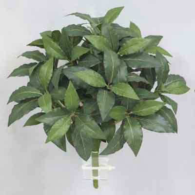 36 inches Caladium Plant w/108 Lvs Green/Red