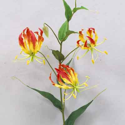 Gloriosa 34 inches # Orange Red