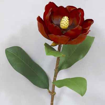 Single Magnolia 28 inches # Red