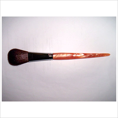 Makeup Brush