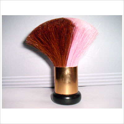 Cosmetic Brush