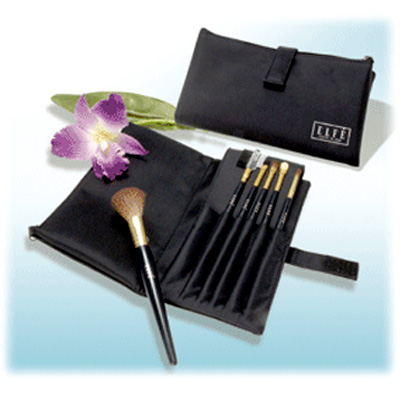 Cosmetic Brush
