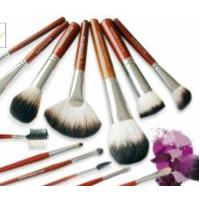 Cosmetic Brush
