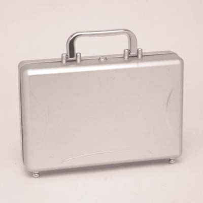 Integral Aluminum Beauty Case