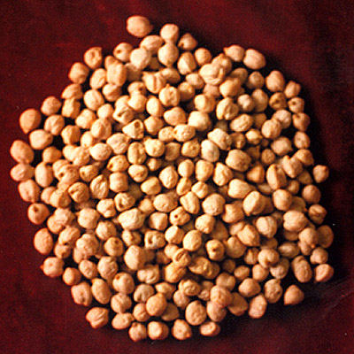 Chick Peas