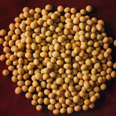Sell Soya Beans