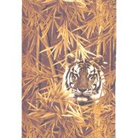 Transfer Print-Tiger