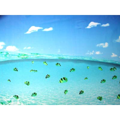 Transfer Print-Ocean