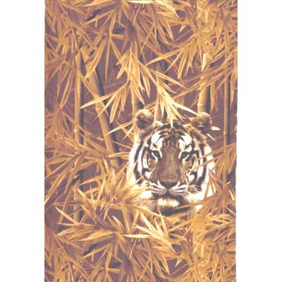 Transfer Print-Tiger