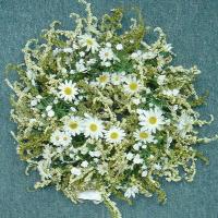 6 inches DAISY/ASTIBLE CANDLE RING