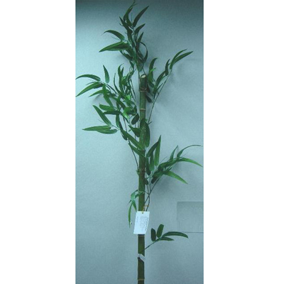 72 inches BAMBOO SPRAY X 1