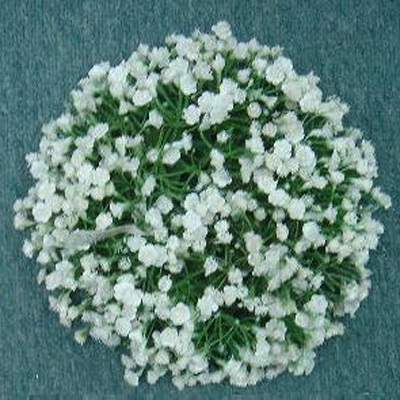 3 inches MP GYPSOPHLIA CANDLE RING