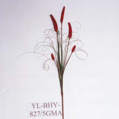 Flocked Gold Dusted Cat Tail Spray x 5 w/Gold Brush Grass