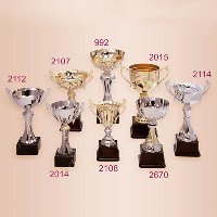 Trophy / Cup