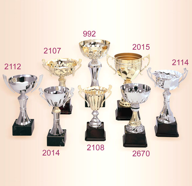 Trophy / Cup