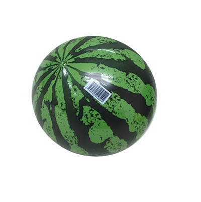 Outdoor Sports Items