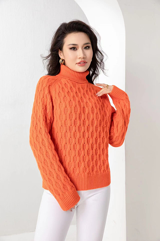 Ladies Sweater - Pullover