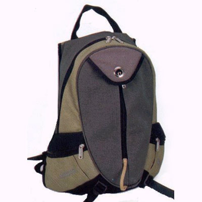 Fashionable backpack