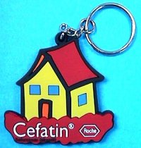 Etched rubber Keychain