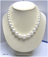 Shell Pearl Necklace