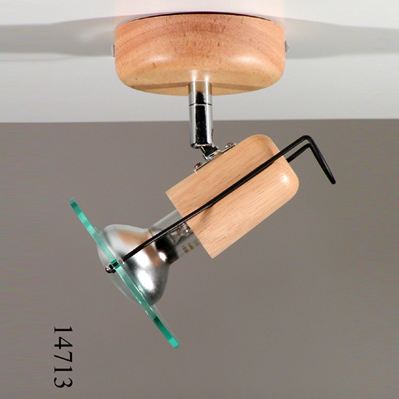 Ceiling Lamp