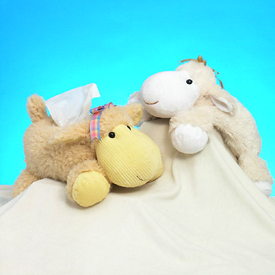 Sell 16 inches SHEEP TISSUE COVER