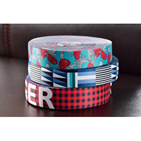 Kerry Elastic Fabric Limited