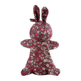 Umbrella in Rabbit Case