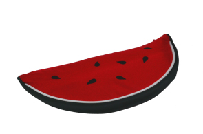 Umbrella in Watermelon Case