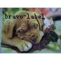 Sublimation Transfer