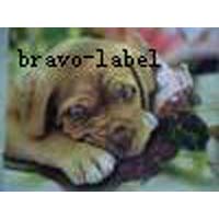 Sublimation Transfer