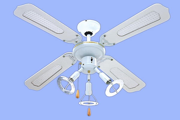DECORATIVE FANS