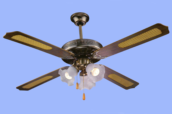 DECORATIVE FANS