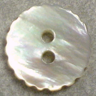 Sell Real Shell Button / Size :	14L - 40L / Colour :	D.T.M