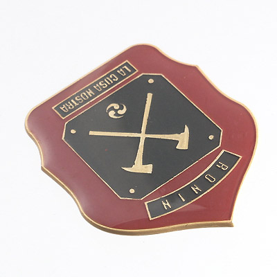 Large Badge With Color Enamel And Epoxy Filled