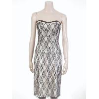 Ladies' Well Fitted Dress In Lace Fabric