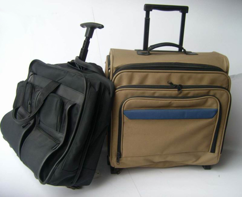 Bags with cart