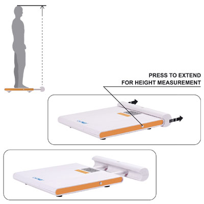 Sell Body Scale with Height Measurement