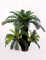 Artificial Plants-131hvj08f