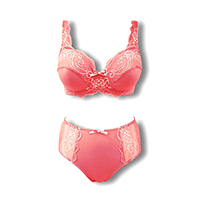 2 Tones Lace Wireless Bra & Midi Brief