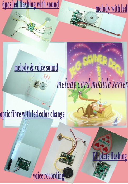 Greeting Card Sound Module