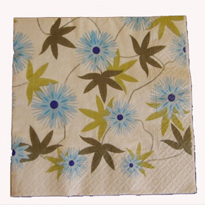 Paper Napkins